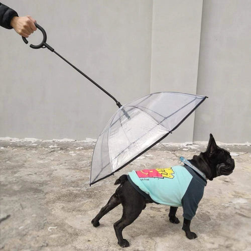 Transparent Dog Umbrella