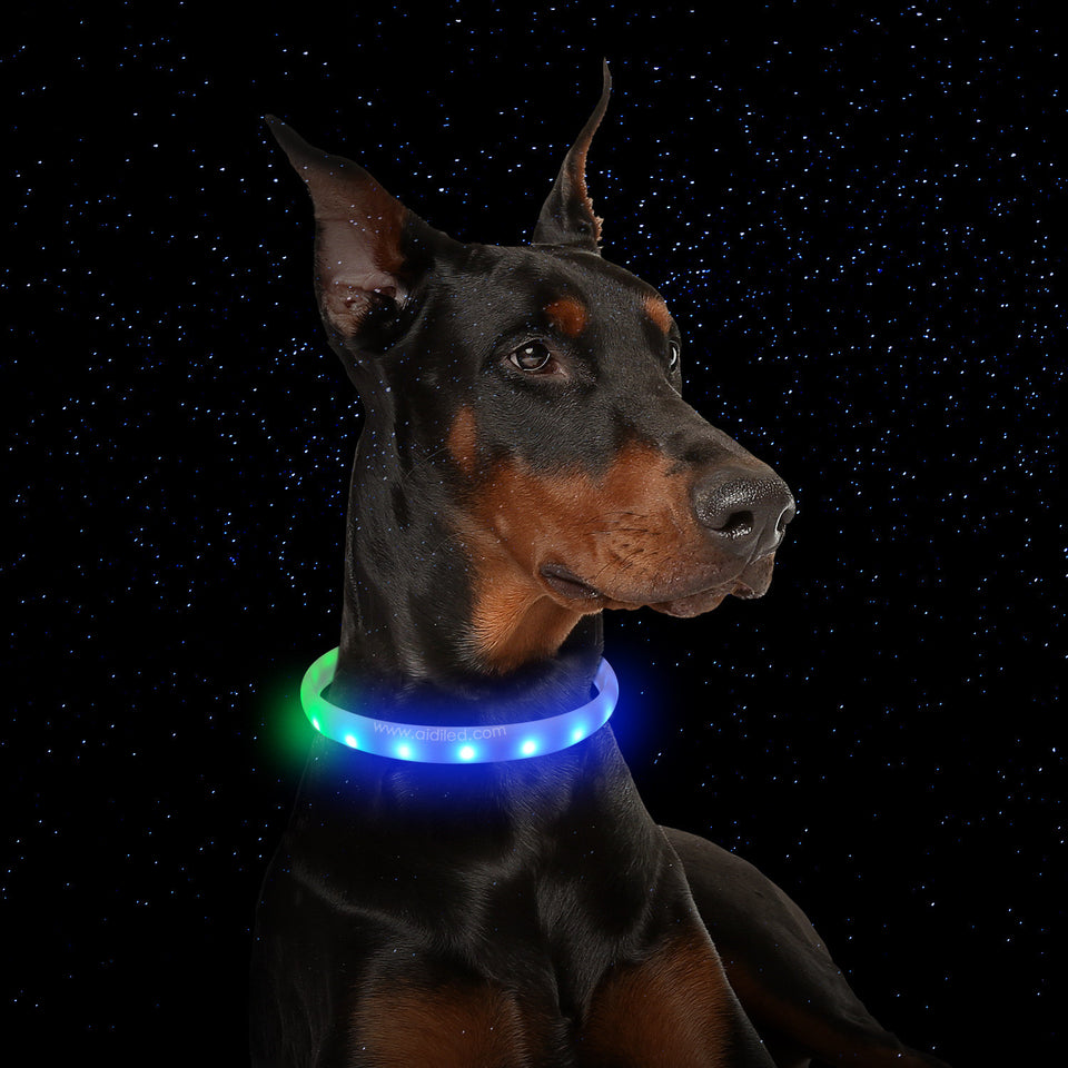 Anti-Lost Flash Collar For Dogs USB Charging