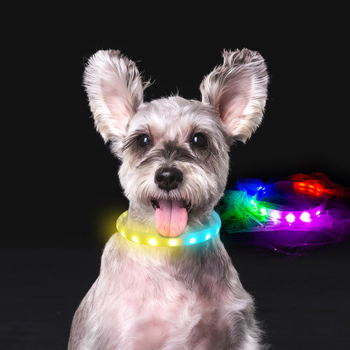 Anti-Lost Flash Collar For Dogs USB Charging