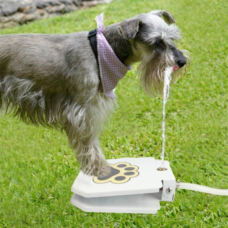 Outdoor Automatic Dog Water Fountain