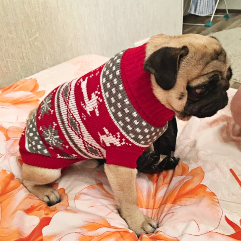 Warm Clothes for Small Medium Dogs and Cats