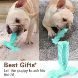 Healthy Rubber Dog Toothbrush Toy