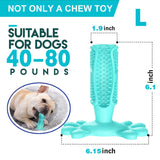 Healthy Rubber Dog Toothbrush Toy