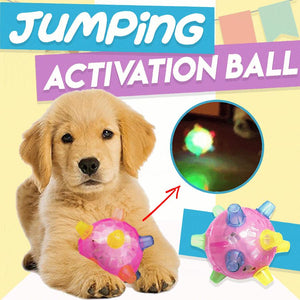 Jumping Activation Ball for Pets
