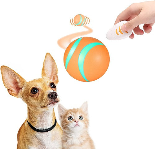 Remote Control Pet Bounce Ball